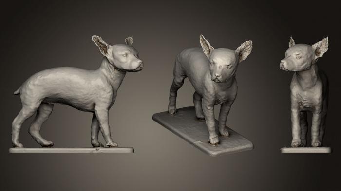 Animal figurines (STKJ_0584) 3D model for CNC machine